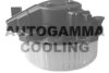 AUTOGAMMA GA20174 Interior Blower